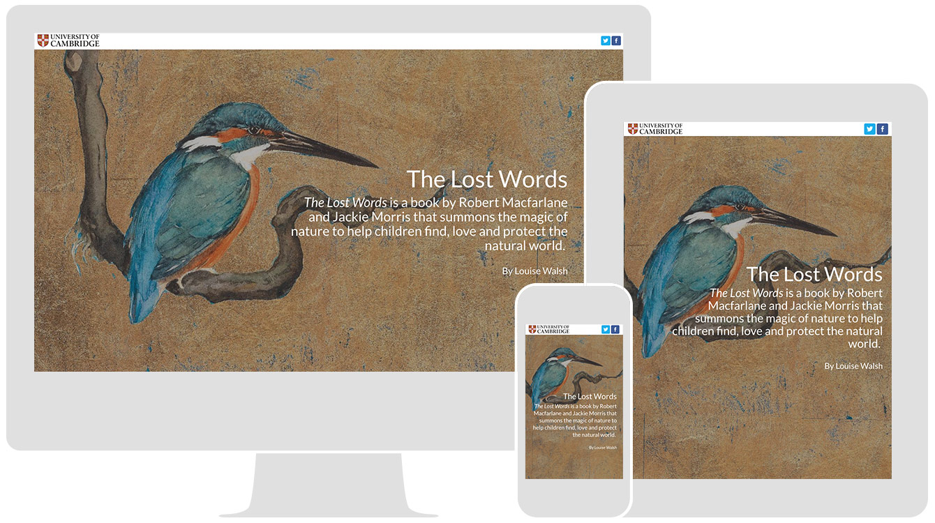 The Lost Words, by the University of Cambridge, renders responsively across all devices