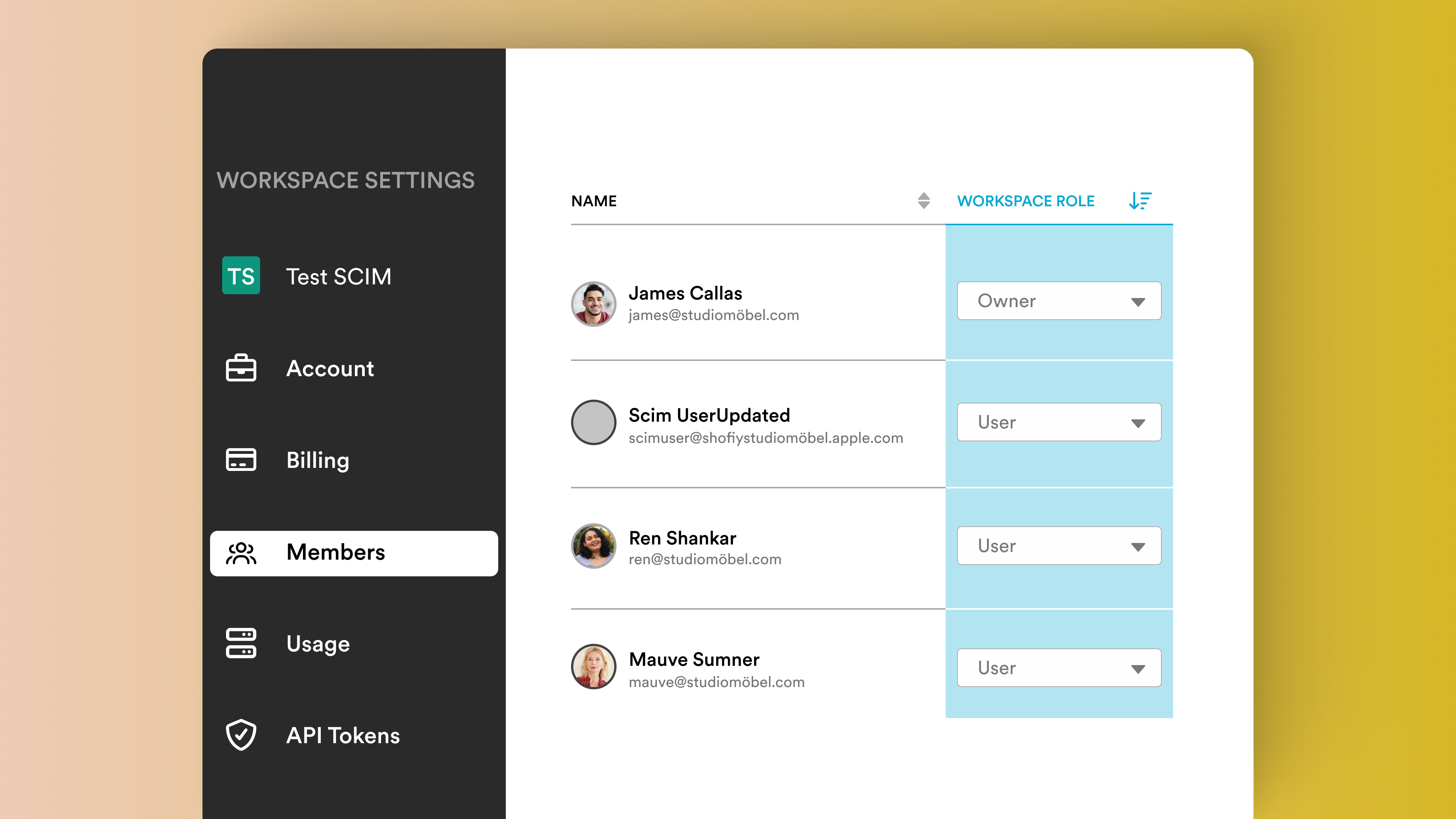 A workspace settings page showing role and permission for members